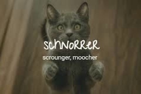 Schnorrer of Schwenksville