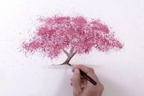 Blossom shadow