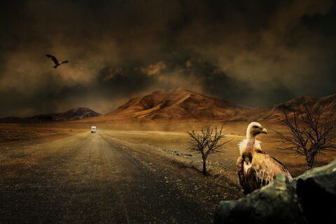 The Valley Of Death