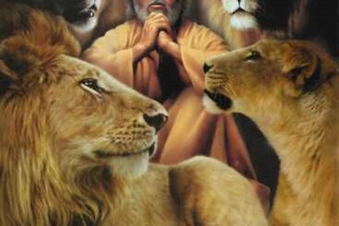 Greg In The Lion&#039;s Den