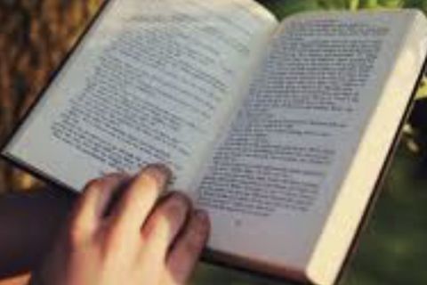The Story of You 
