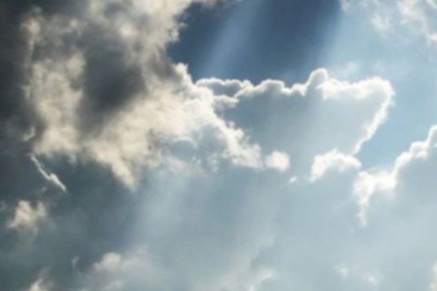The Light