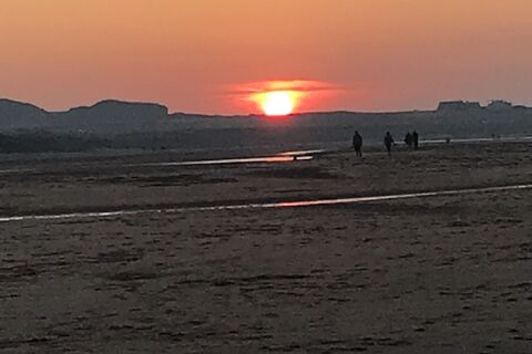 Sinking in the soft sand