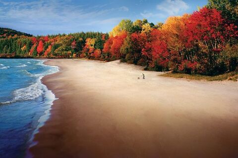 ON A  AUTUMN DAY  BY THE SEA