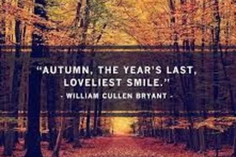 Happy two thousand nineteenth birthday Autumn - September 23, 2019!