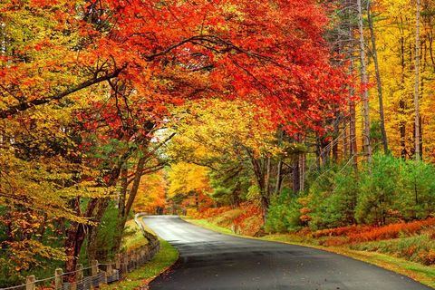 Autumn&#039;s arrival