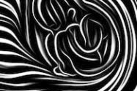 Form And Void