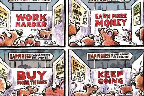 The Rat Race Evolution 