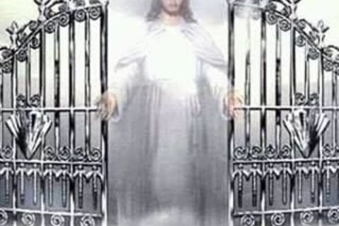 Heaven&#039;s Undocumented worker