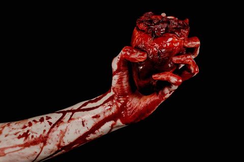 Carnivore