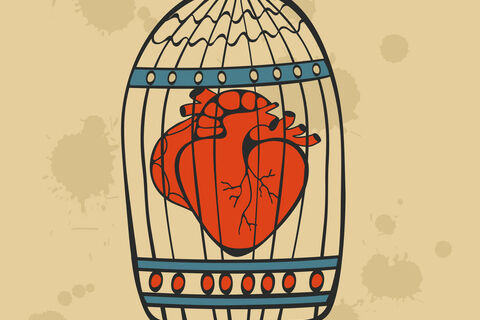 Story of my Heart