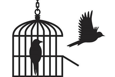 The caged bird 