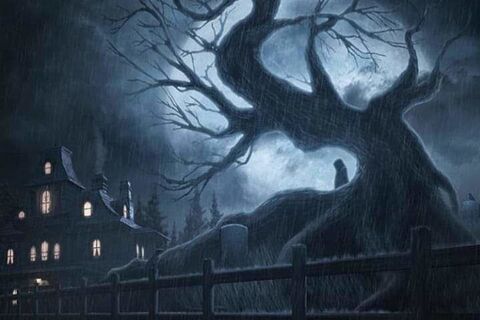 The Dead