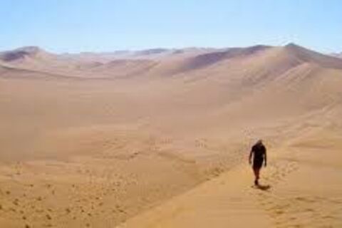 Lost