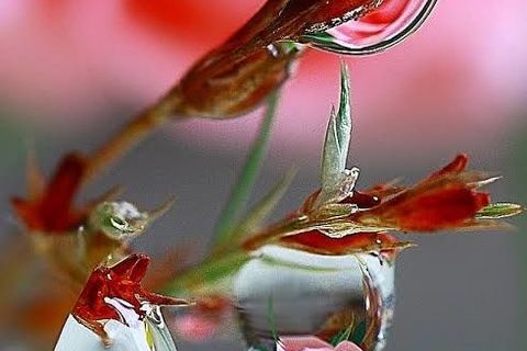 Dews cold day.