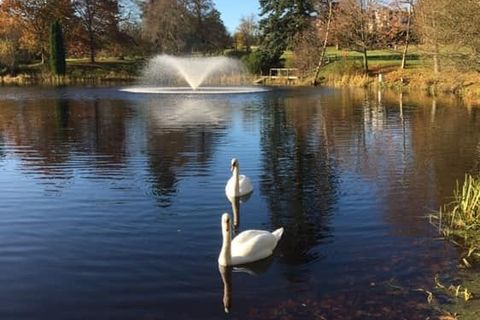Stillness and Serenity