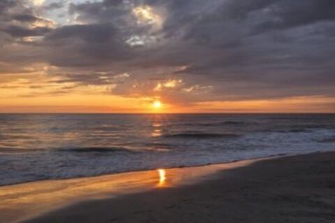 Ocean Dreams