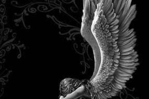 Eternal dove.