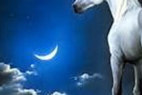 THE UNICORN OF LOVE