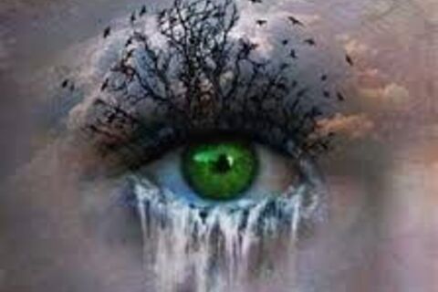 ~ MOTHER NATURE&#039;S CRYING ~