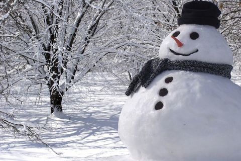 Bob the Snowman ☃️