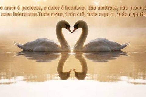 Tè amo mi amorè