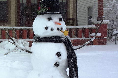 Mr Snowman