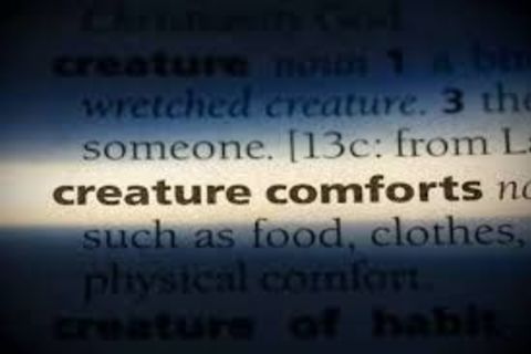 Me... creature of comfort? Bah