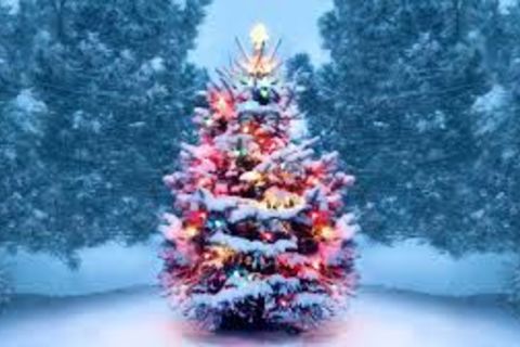 At this time of year
