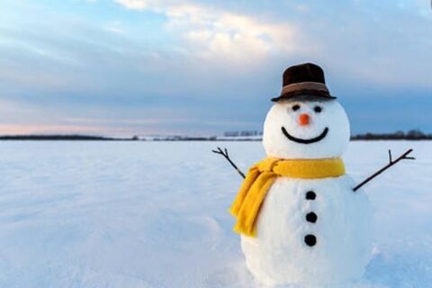 real snowmem