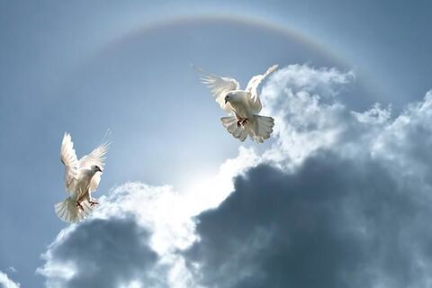 The angels