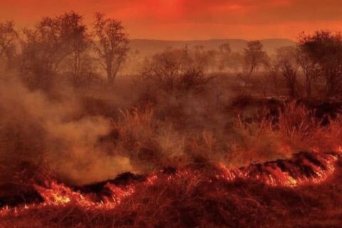 An Australian Apocalypse 