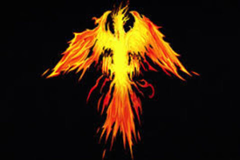 Phoenix