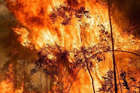 Australia is burning