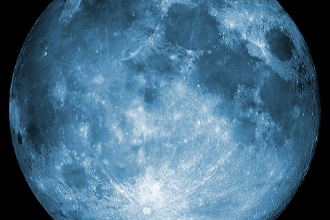 MOON MEAT