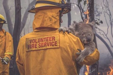 The Volunteer Firefighter