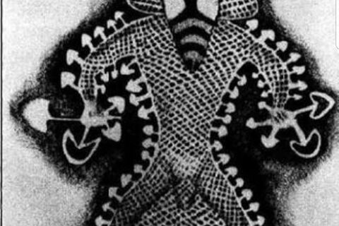 DMT