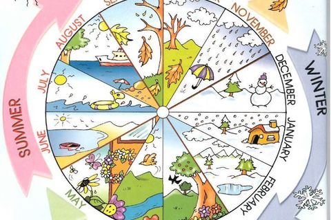 Our Cycle of Continuity
