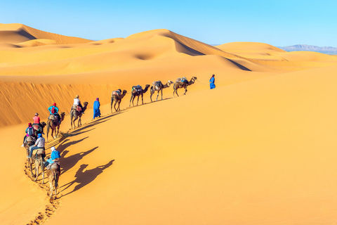 The Sahara Desert