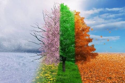 Seasons.