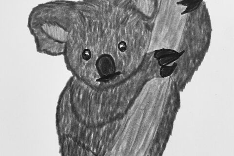 Save our Koala