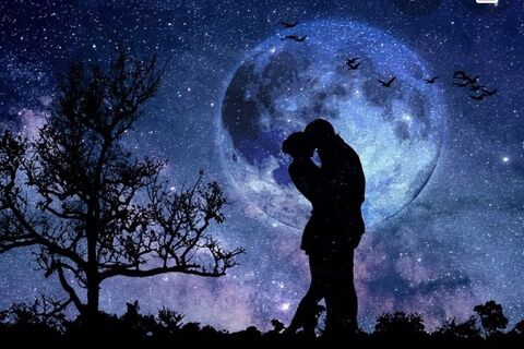 Under A Starry Sky