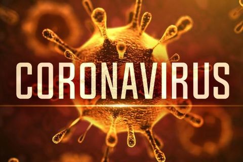 The Coronavirus