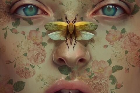 Barnabas Moth