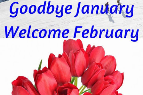 Goodbye January