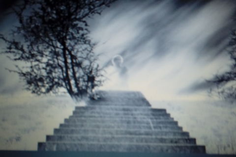 Stepping Into Another World