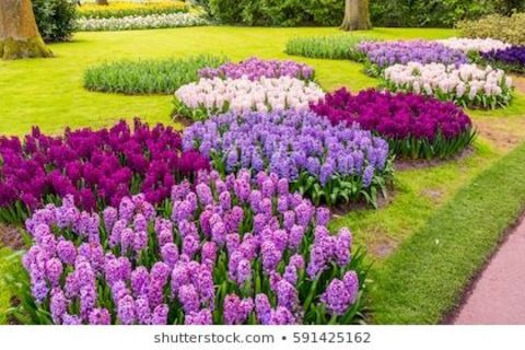 A GARDEN OF LOVE 
