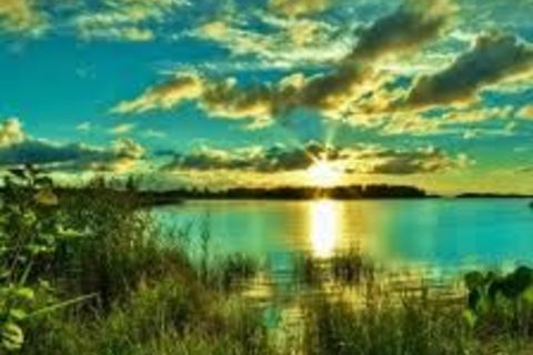 Beautiful World