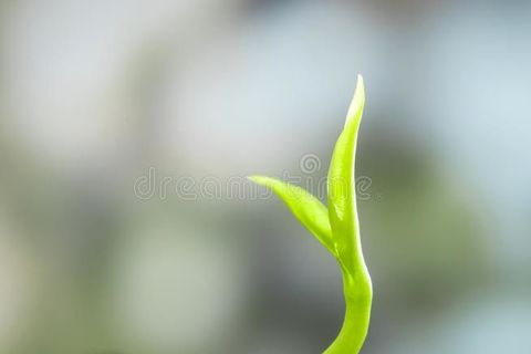 To a New Life!