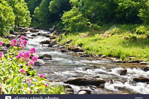 Babbling brook